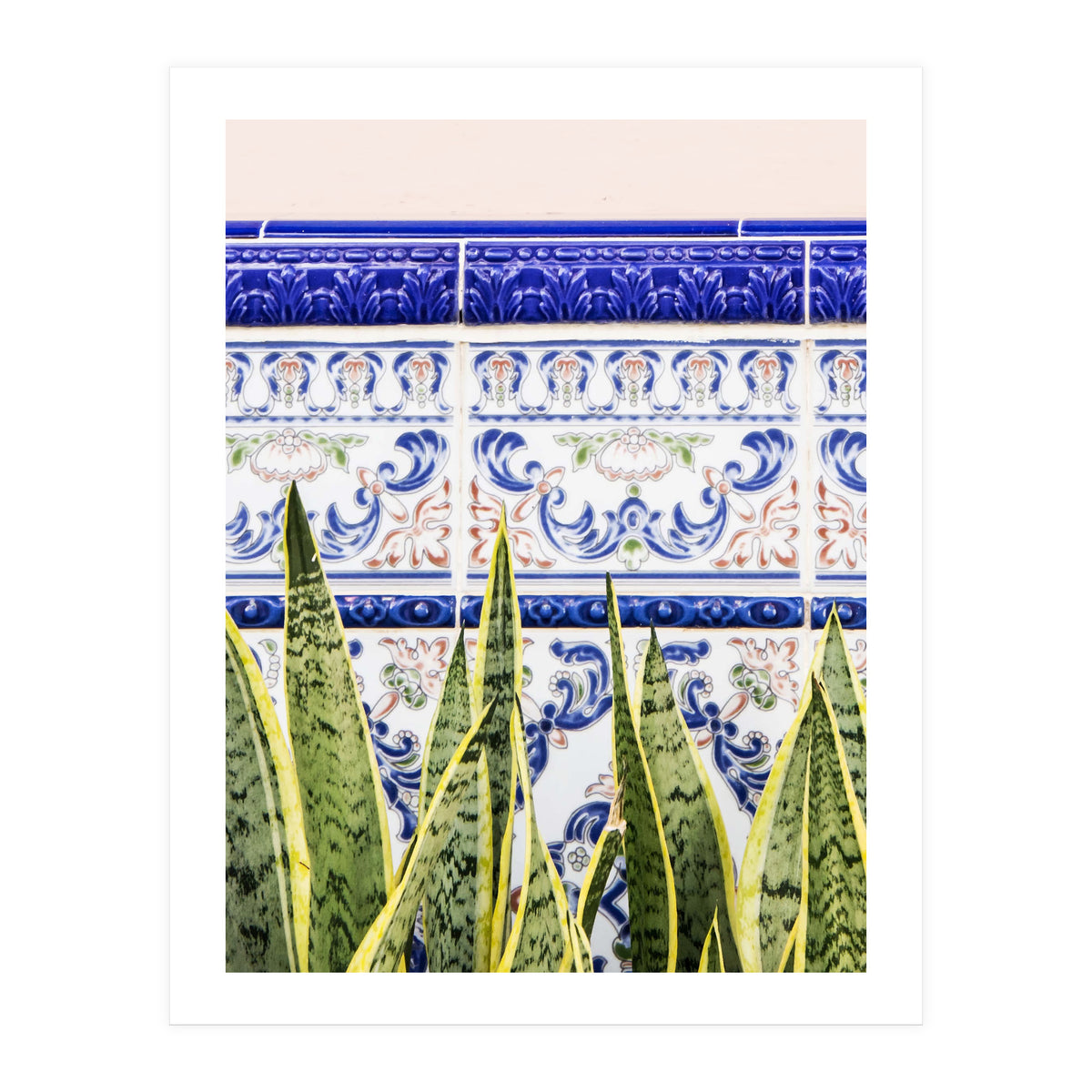 Moroccan Botany (Print Only)