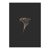 Gold Burst Botanicals (Print Only) thumbnail