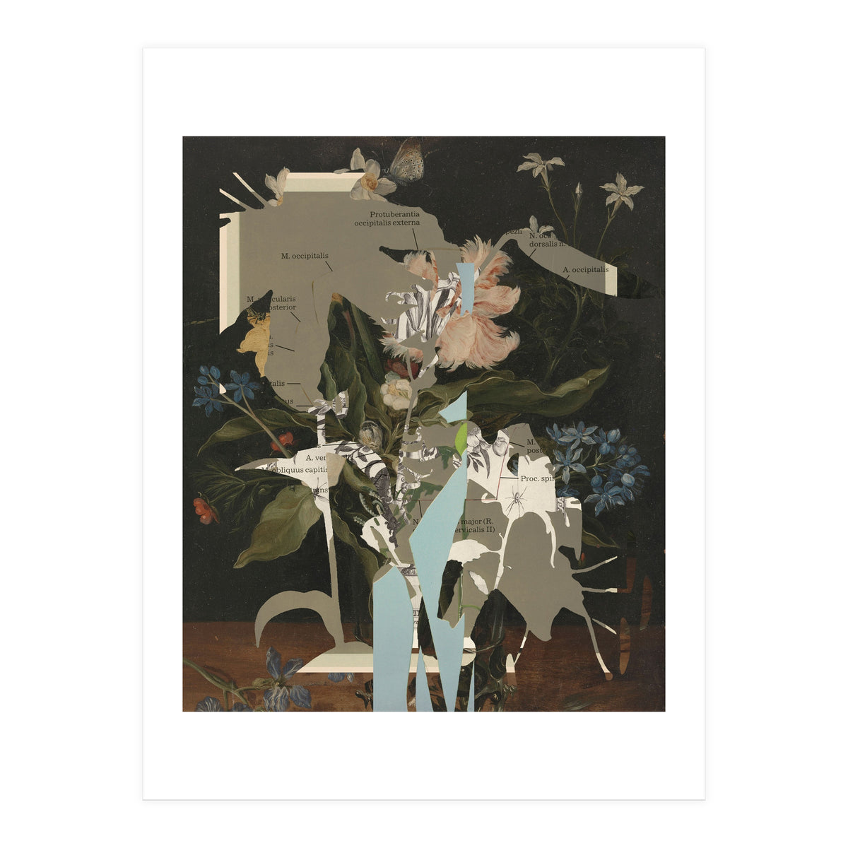 The First Plant · D2 (Print Only)