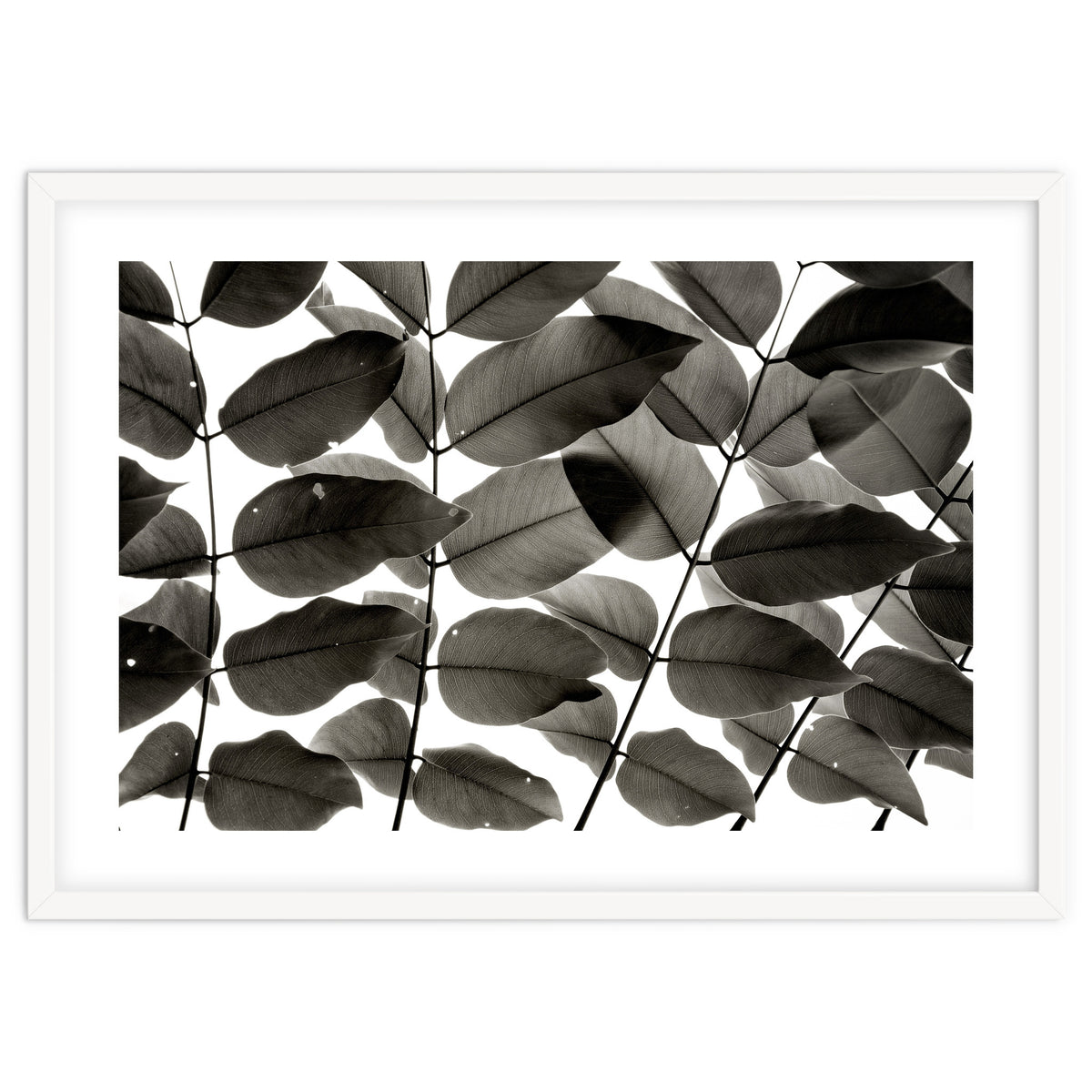 Branches and Leaves I