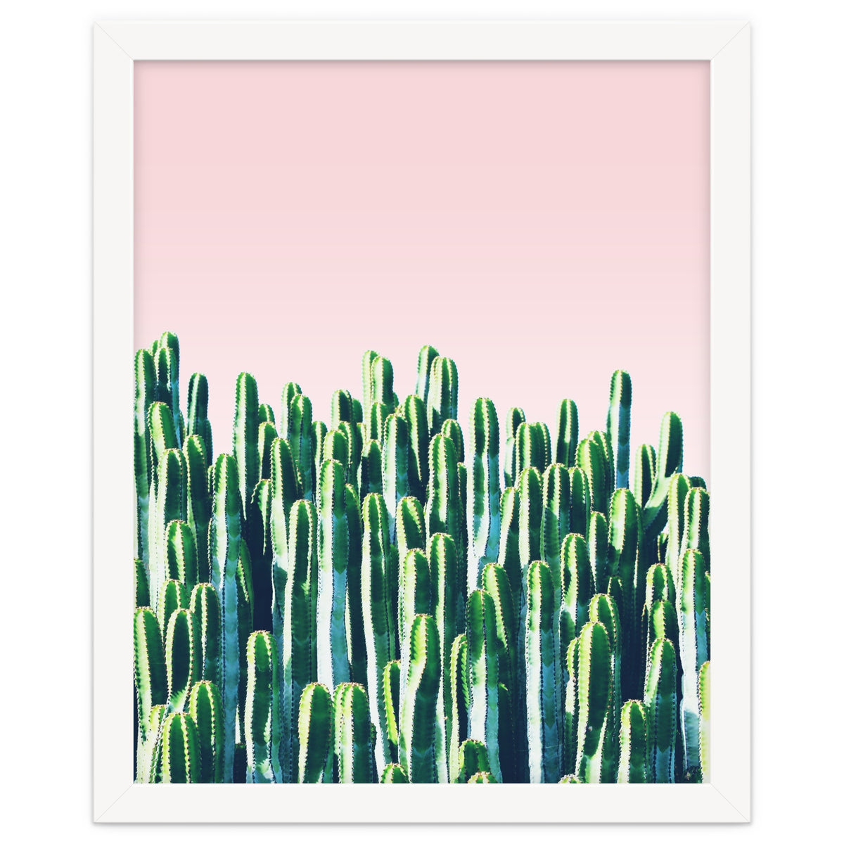 Cactus & Sunset I