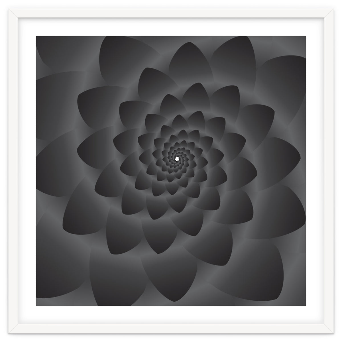 3 D Modern Black Floral