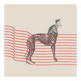 Dogmother (Print Only) thumbnail