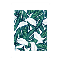 Tropical Winter (Print Only)