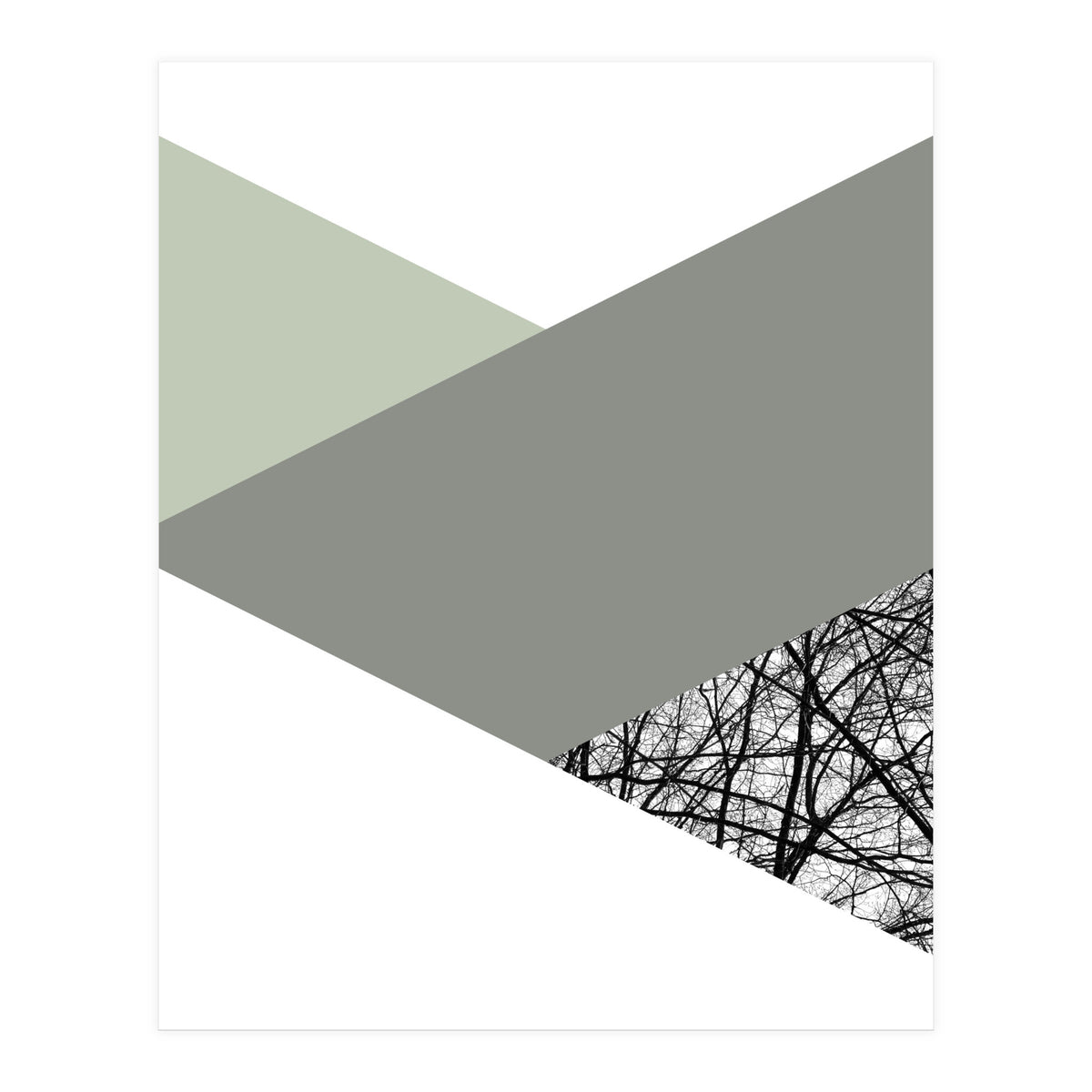 TRIWOOD III (Print Only)