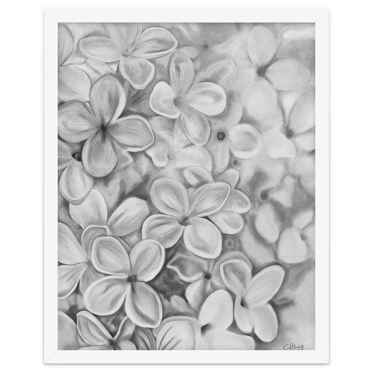 The Essence Of Spring in Monochrome