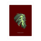 Predator (Print Only) thumbnail