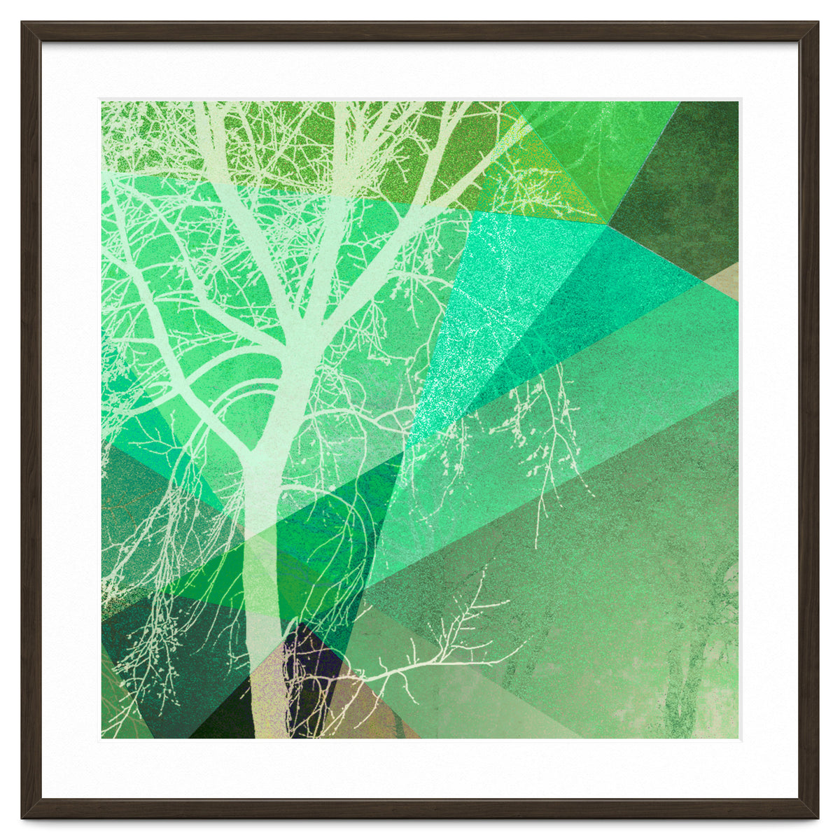 P22-B3 Trees And Triangles