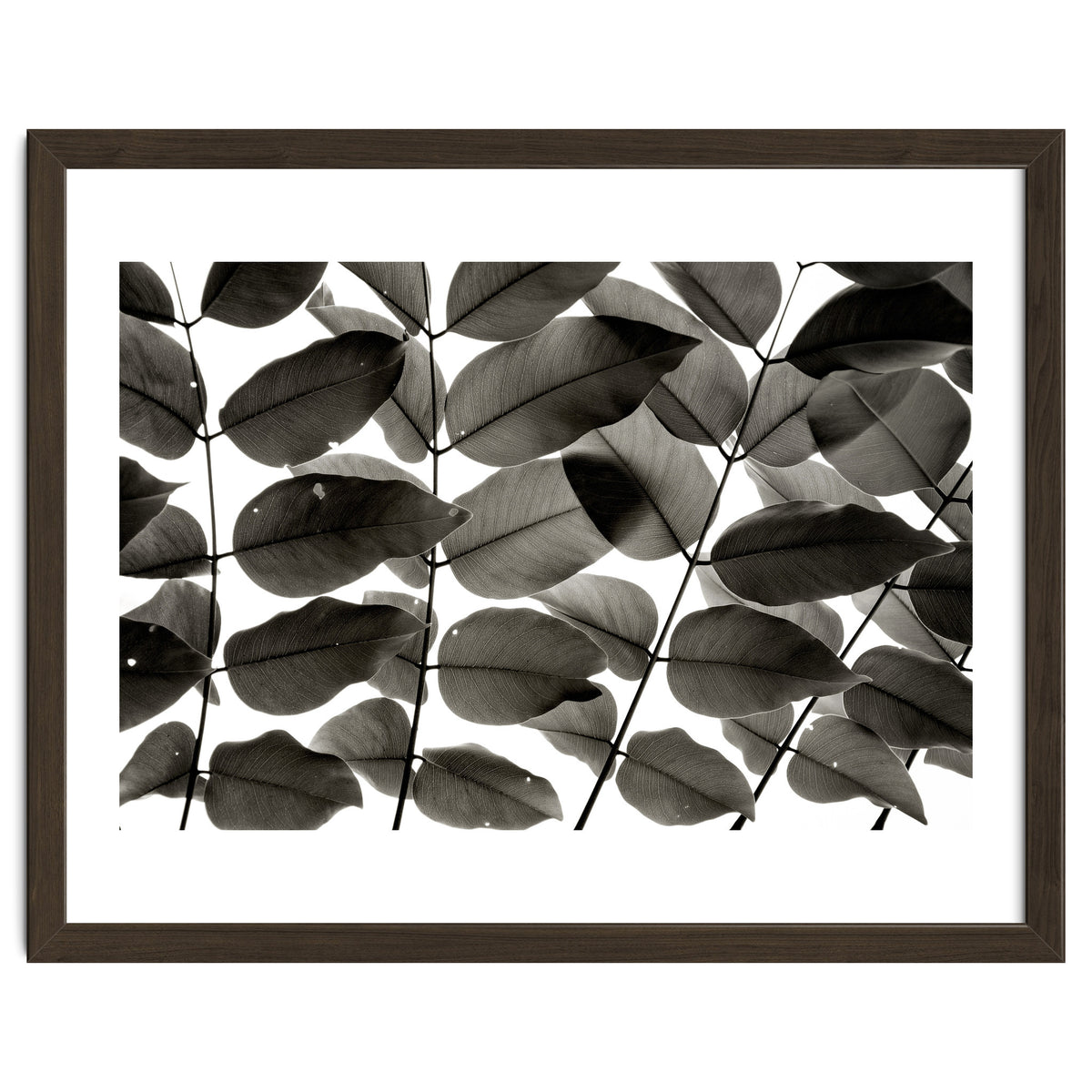 Branches and Leaves I