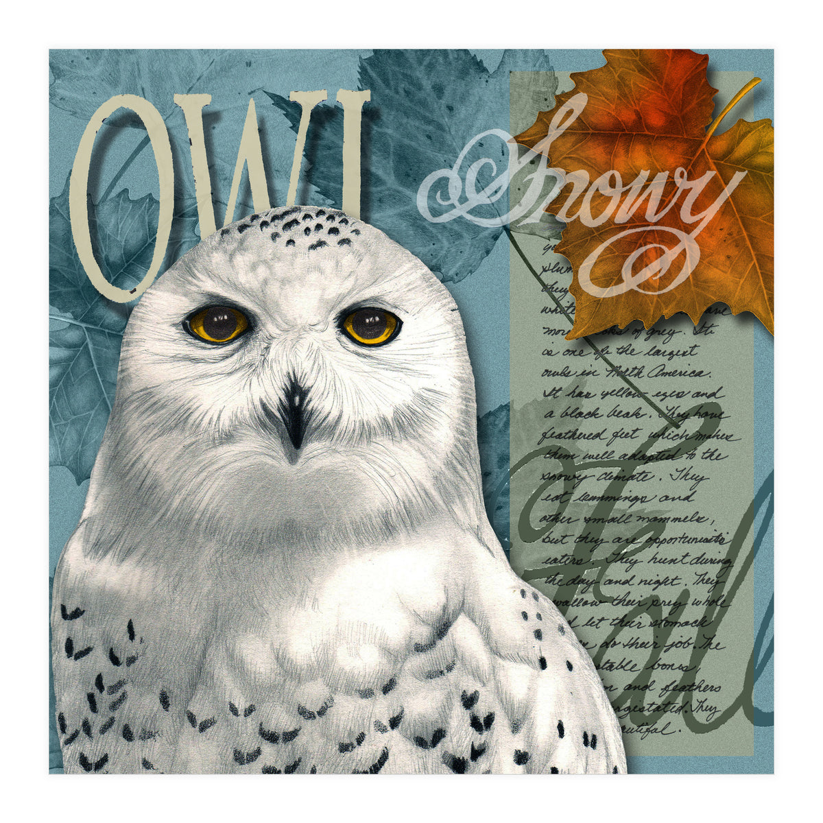 Snow Owl (Print Only)