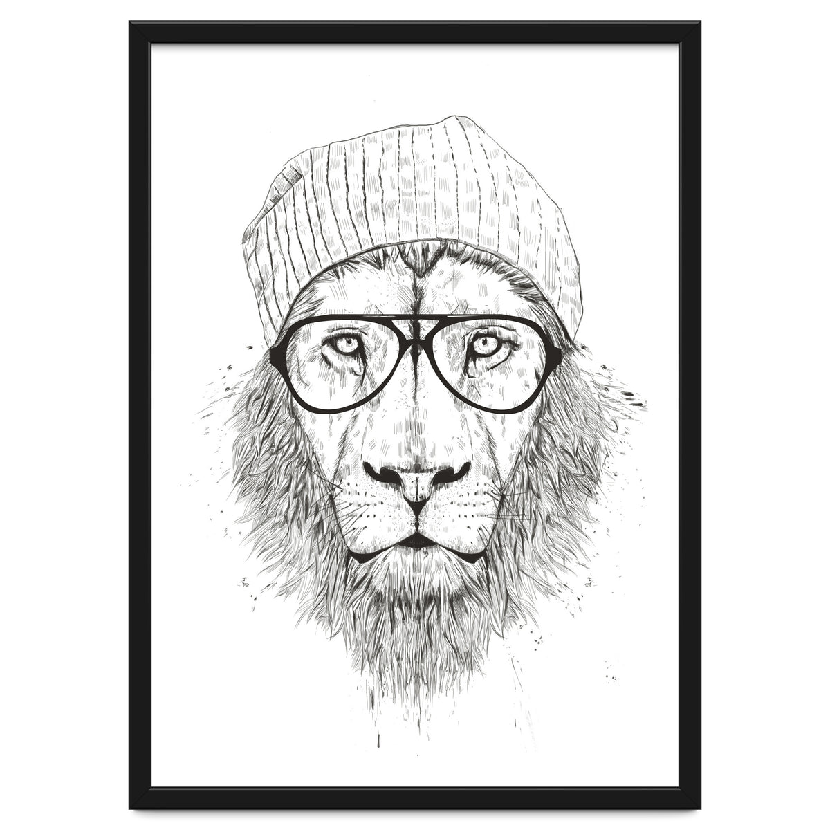 Cool Lion Bw
