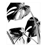 Black Tropical Leaves  (Print Only)
