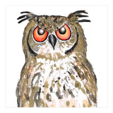 Golden owl (Print Only) thumbnail