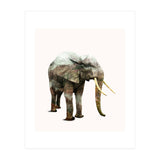 Elephant Transformation (Print Only) thumbnail