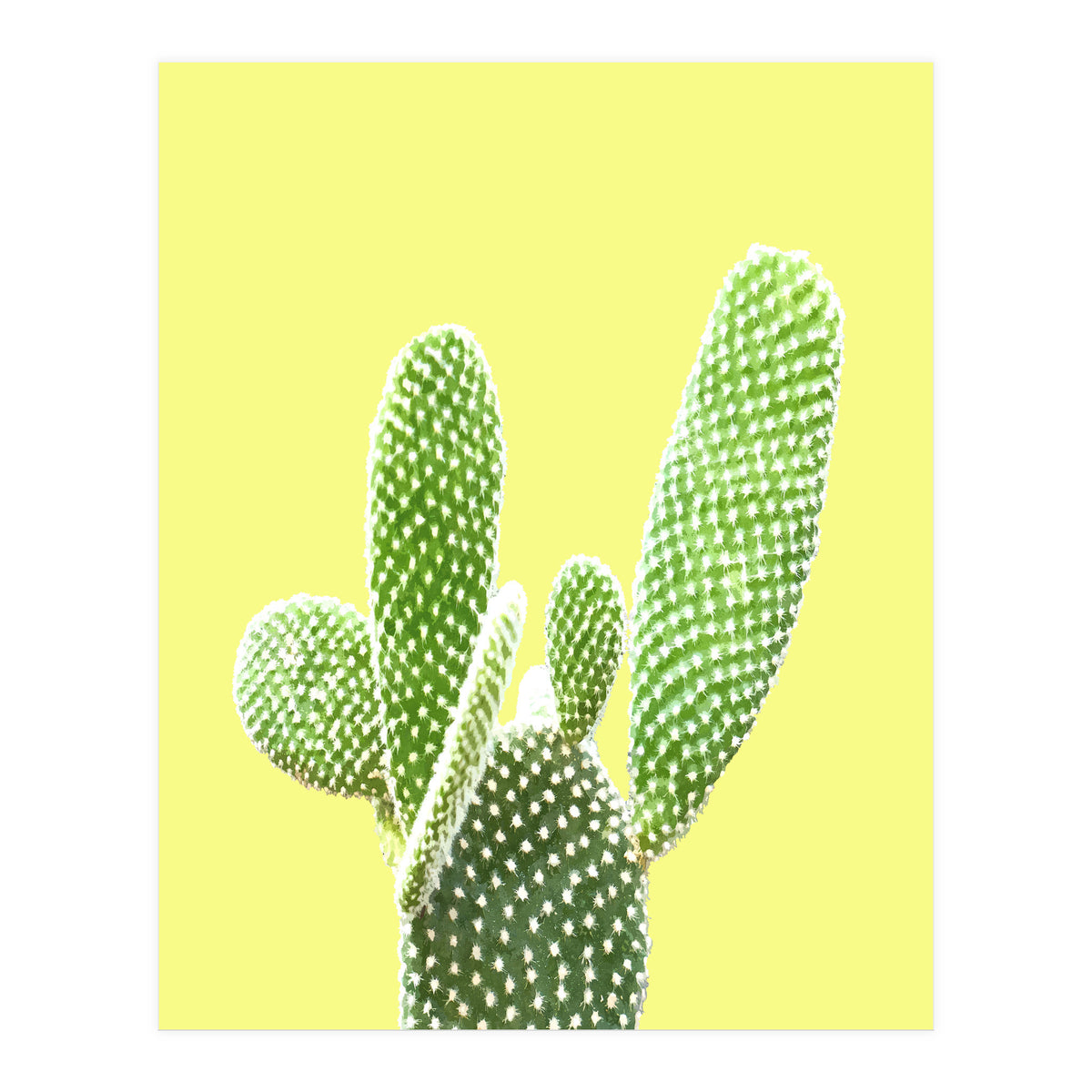 Cactus Yellow Background (Print Only)
