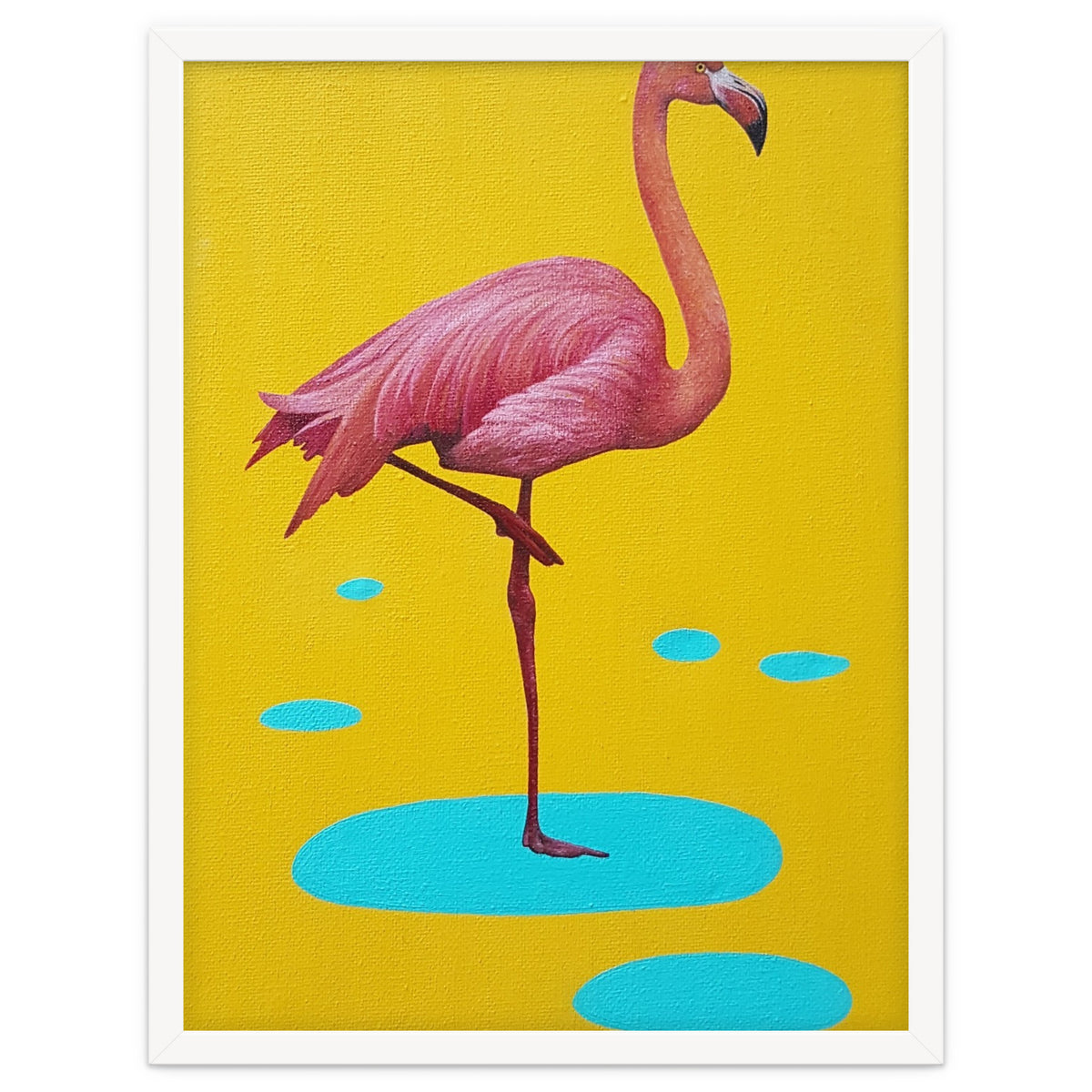 Flamingo