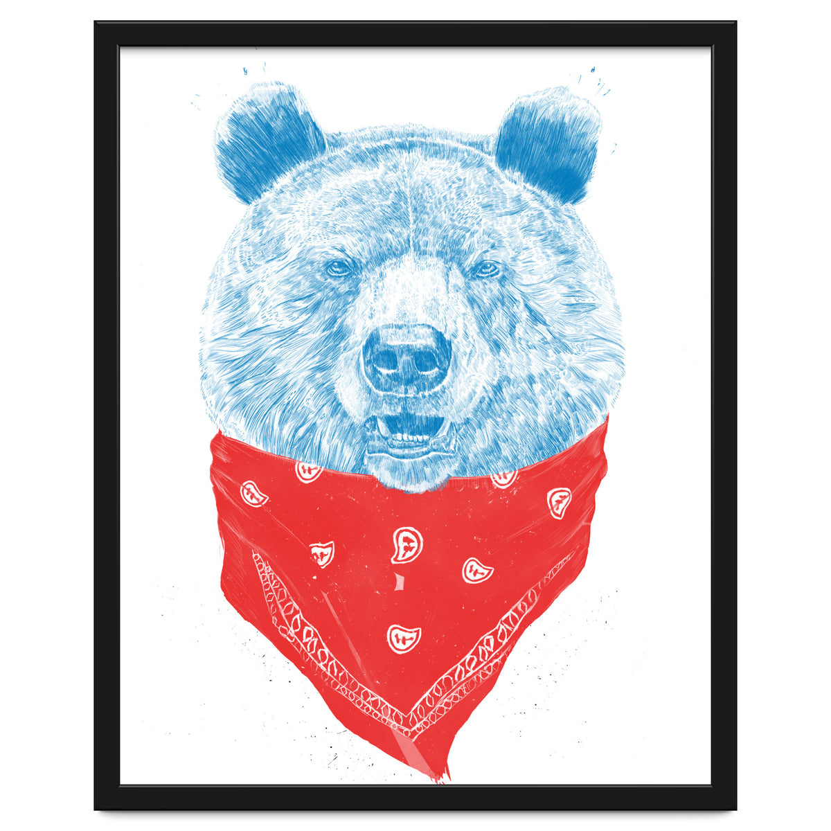 Wild Bear Color Version