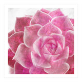 Rough Beauty 4 (Print Only) thumbnail
