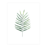 Botanical Illustration Fern (Print Only) thumbnail