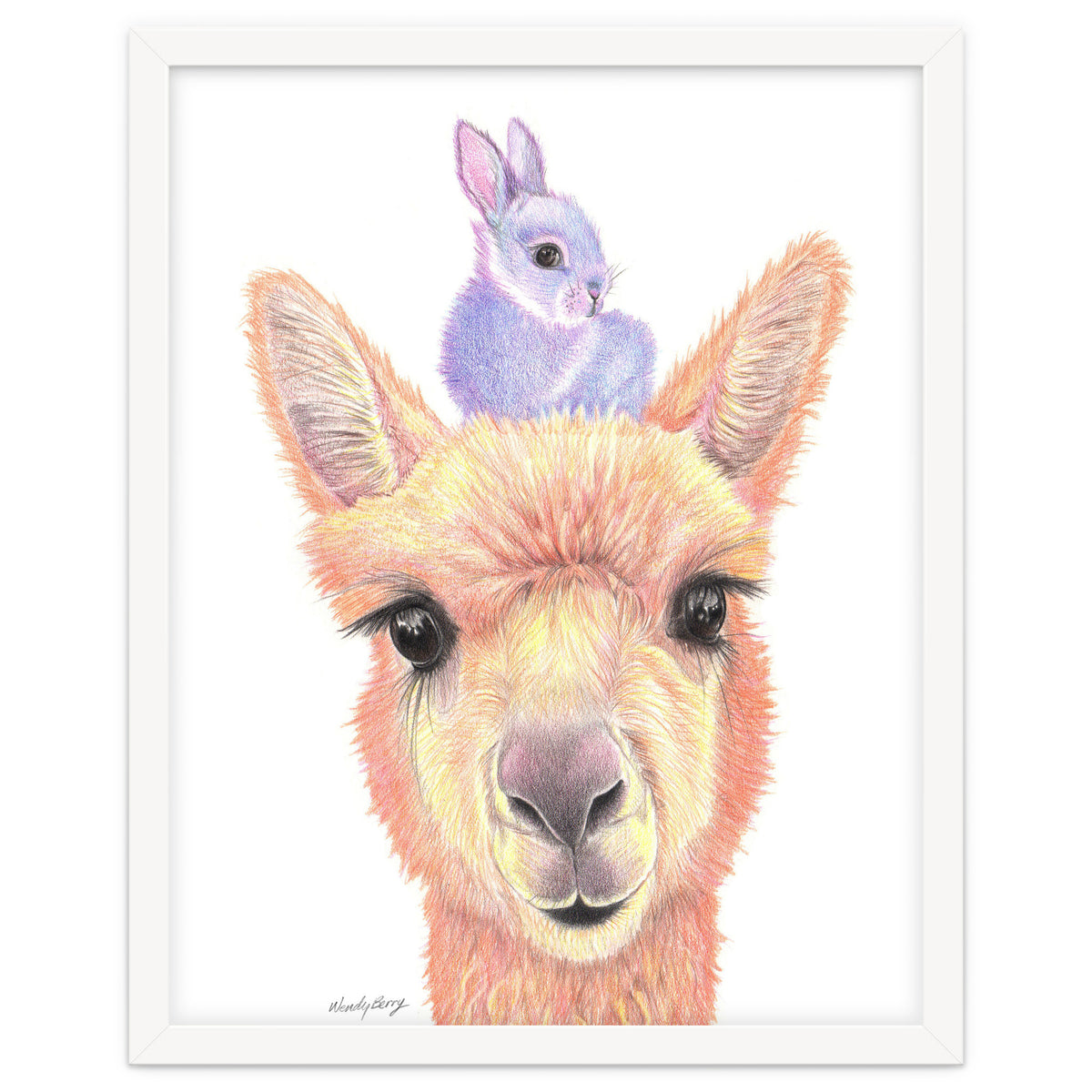 Alpaca and Bunny