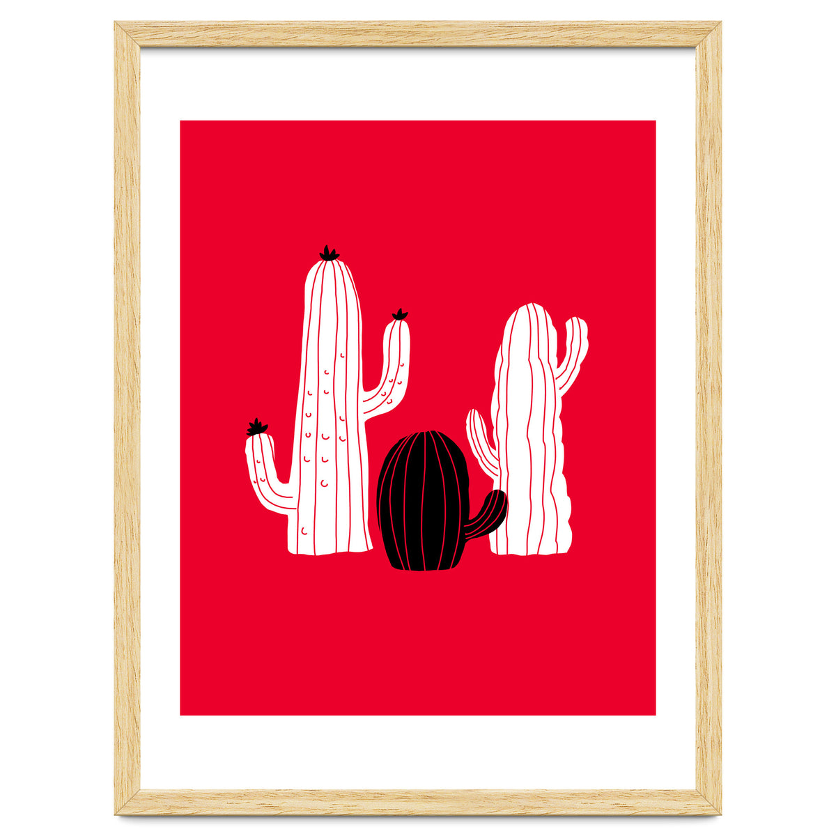 Cactus