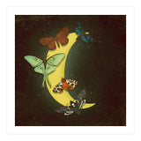 Moth moon (Print Only) thumbnail
