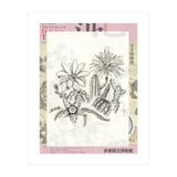 Cactus (Print Only) thumbnail