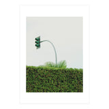 Urban Plant (Print Only) thumbnail