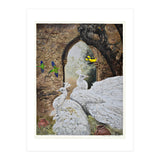 Portuguese Collection (Print Only) thumbnail