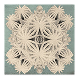 Ancient Calaabachti Filigrane (Print Only) thumbnail
