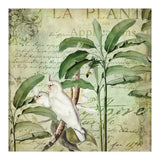 Nostalgic Cockatoo  (Print Only) thumbnail