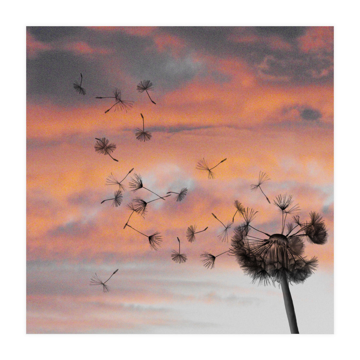 And The Days Went By (Print Only)