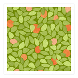 Orange Tree (Print Only) thumbnail