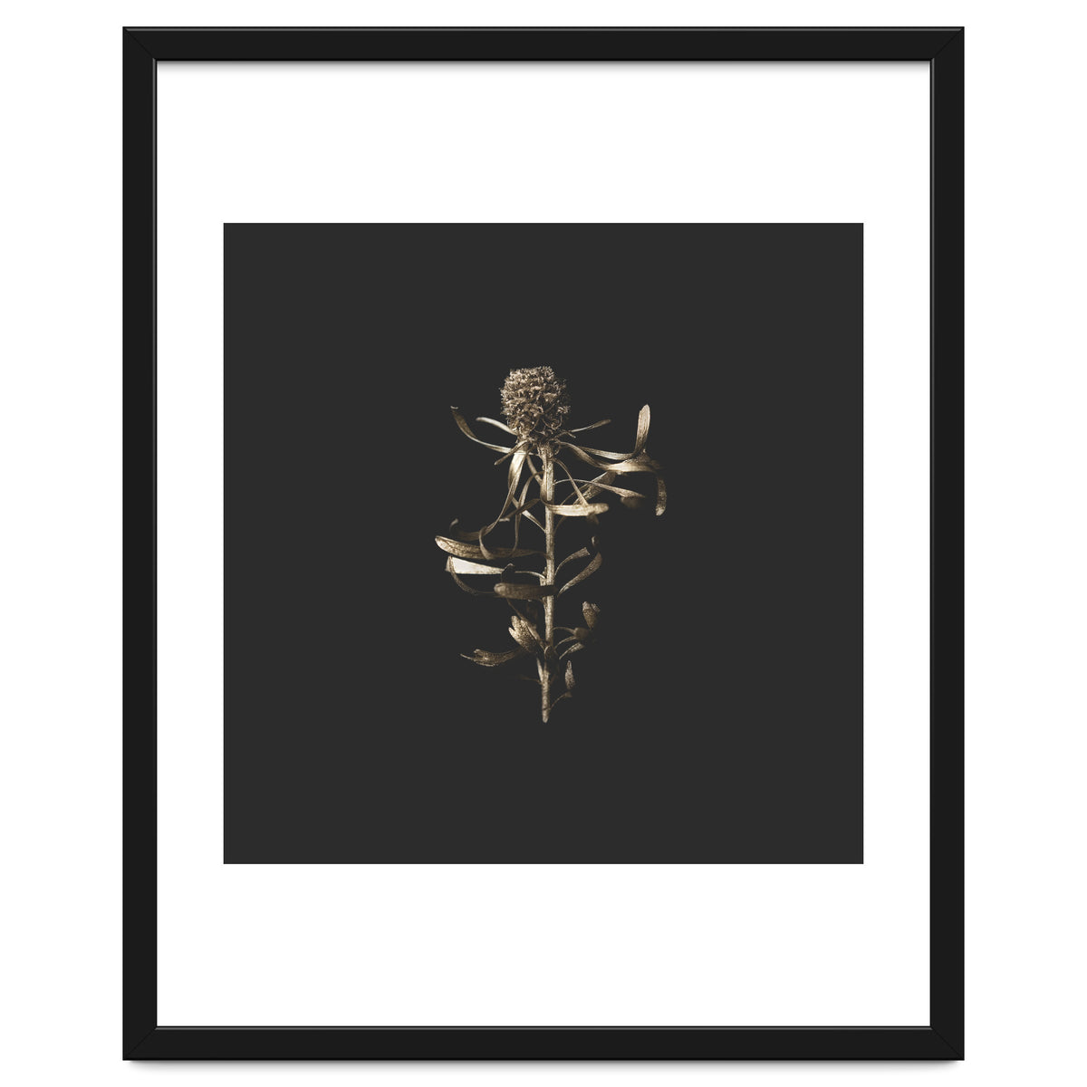 Golden Botanicals -  Square