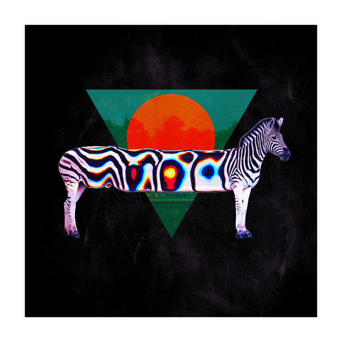 Zebra (Print Only)