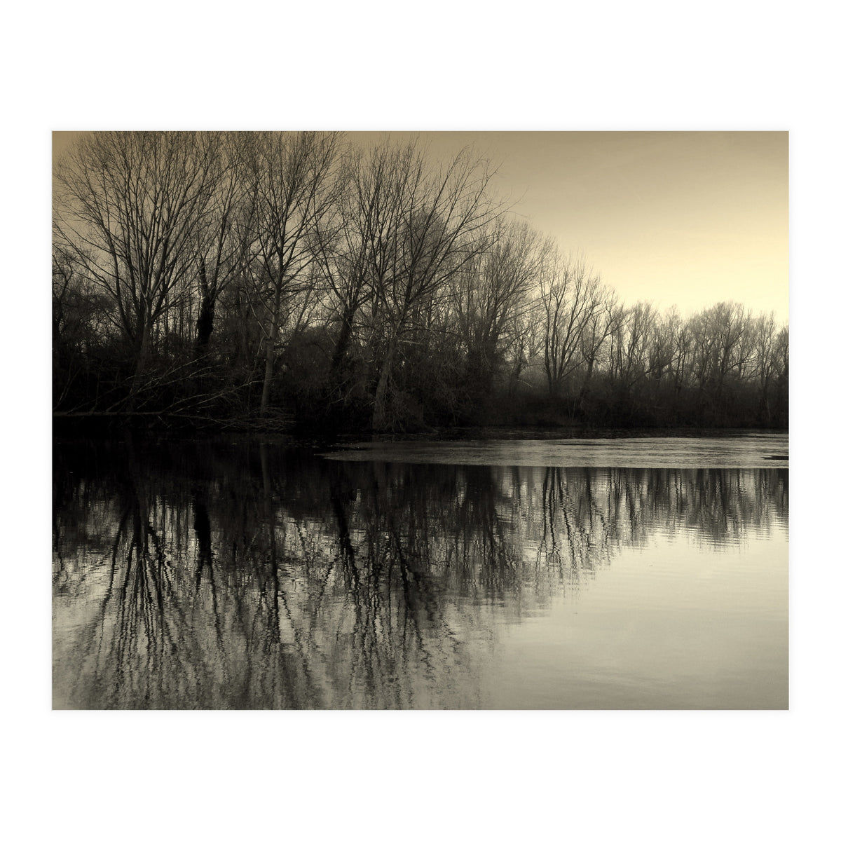 Winter Symettery  (Print Only)