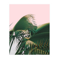 Palm Love (Print Only)