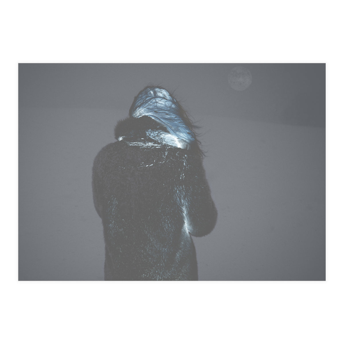 Metamorphosis (Print Only)