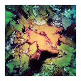 Bathe (Print Only) thumbnail