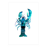 Blue Lobster (Print Only) thumbnail