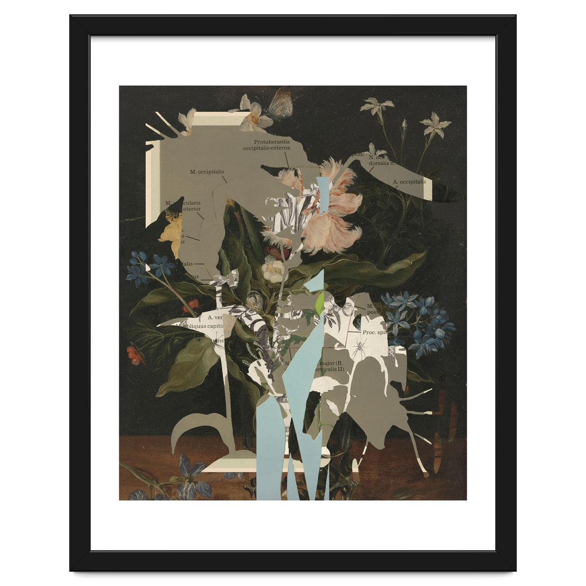 The First Plant · D2