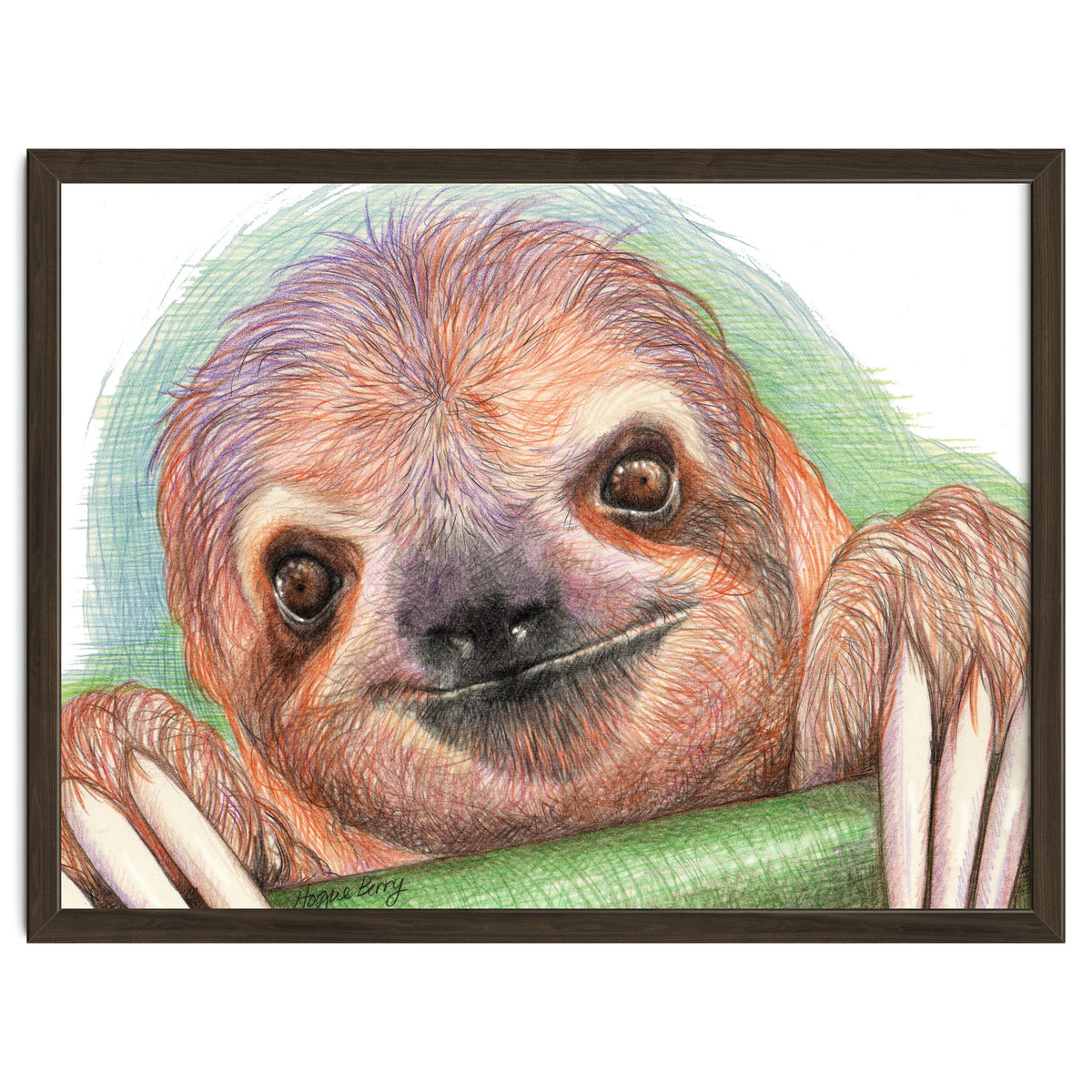 Smiling Sloth
