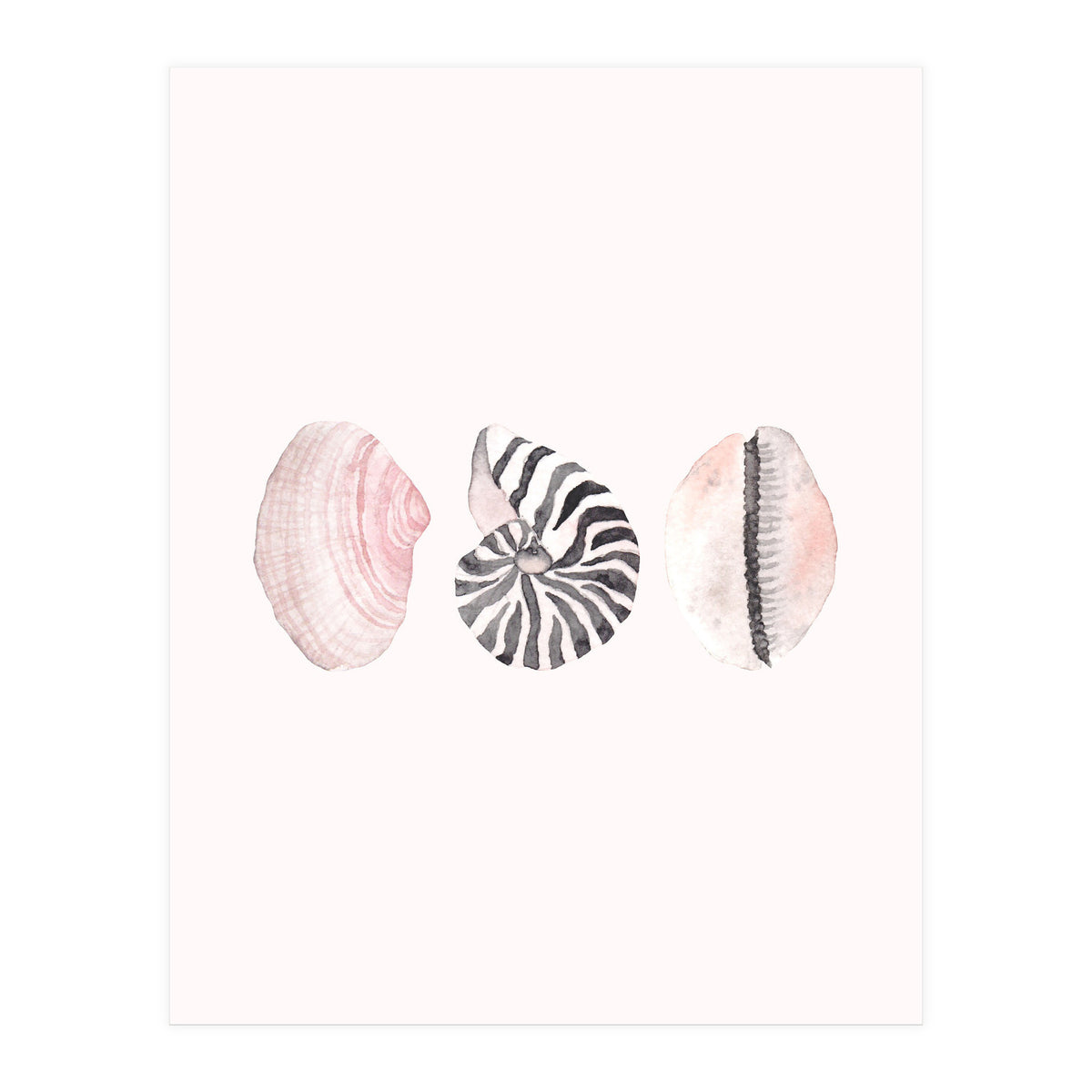 Seashells (Print Only)