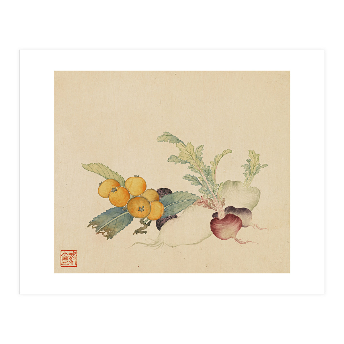 Wang Chengpi~flowers And Vegetables, Vegetables, Fruits, Loquat, White Radish, Carrot, Radish (Print Only)