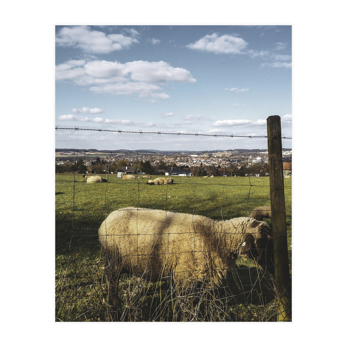 Bucolism 5 (Print Only)