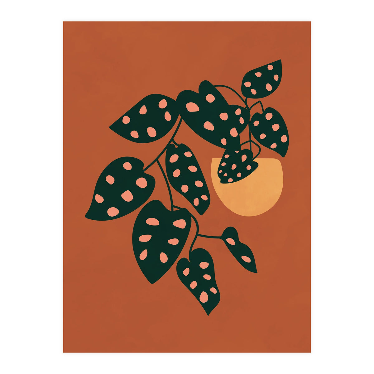 Monstera Adansonii (Print Only)
