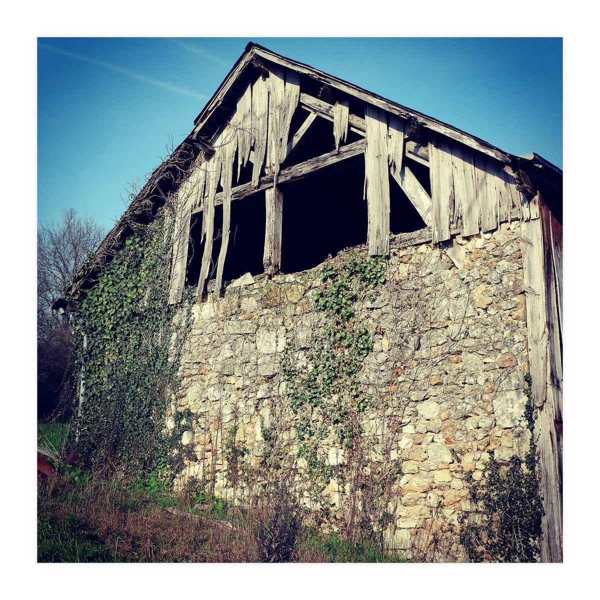 14 Fb156 B 6832 4 Ef7 9846 7817 Eea32976 (Print Only)