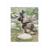 African Painted Dog I (Print Only) thumbnail