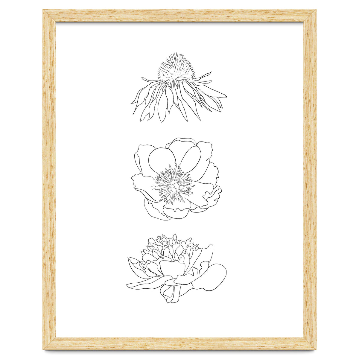 Hand Drawn Flowers