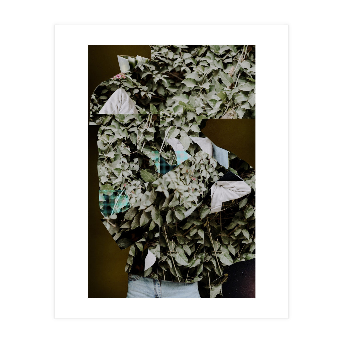 Disappeared Dreams 2 (Print Only)